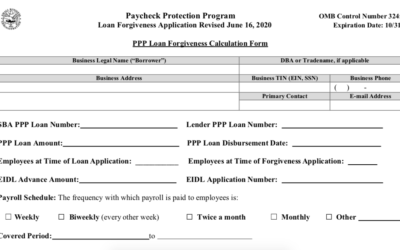 PPP Loan Forgiveness – How to Apply