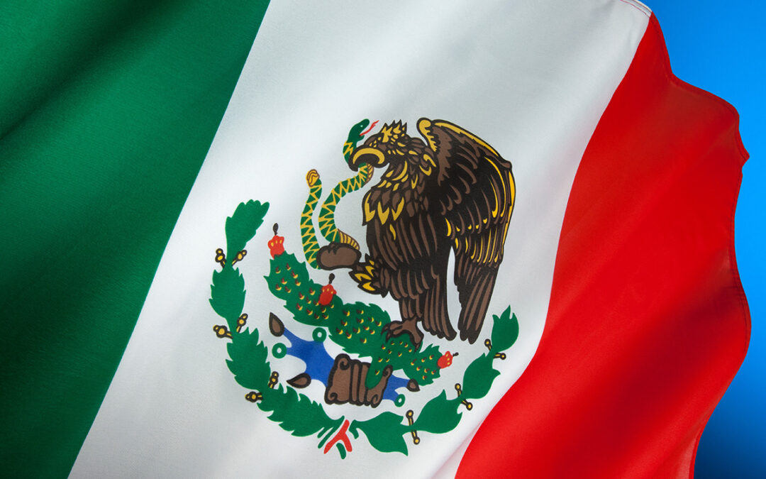 Mexican Government Will Require Expats to Get Tax IDs